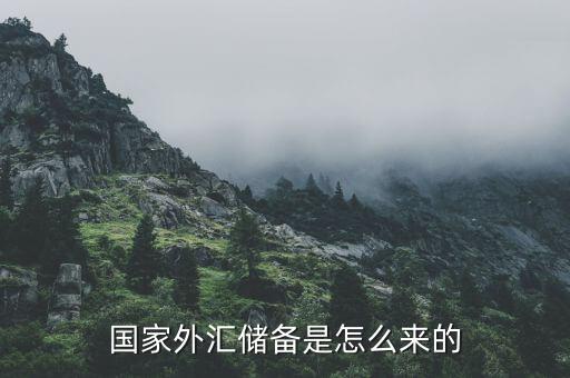 外匯儲(chǔ)備是怎么產(chǎn)生的,國(guó)家外匯儲(chǔ)備是怎么來的