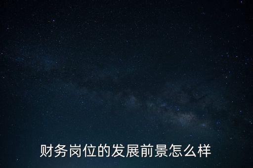 卓壯財務怎么樣,財務bp是做什么的