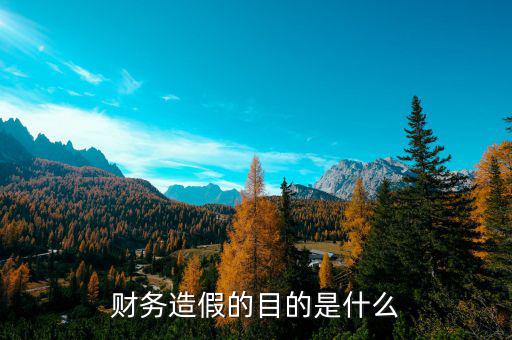 什么是公司財務(wù)舞弊,上市公司財務(wù)造假