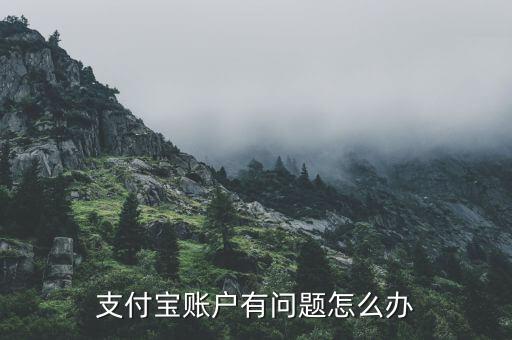 支付寶有帳號(hào)風(fēng)險(xiǎn)怎么辦,支付寶賬戶有問題怎么辦