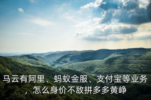 馬云有阿里、螞蟻金服、支付寶等業(yè)務(wù)，怎么身價(jià)不敵拼多多黃崢