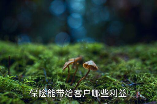 什么是客戶利益,保險能帶給客戶哪些利益