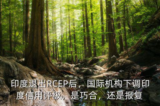 印度信用評(píng)級(jí)多少,印度退出RCEP后