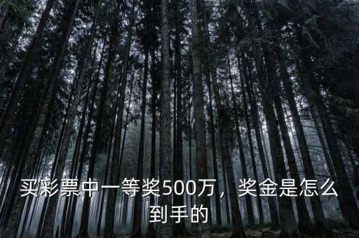 微信彩票中500萬怎么領(lǐng)取,買彩票中一等獎500萬