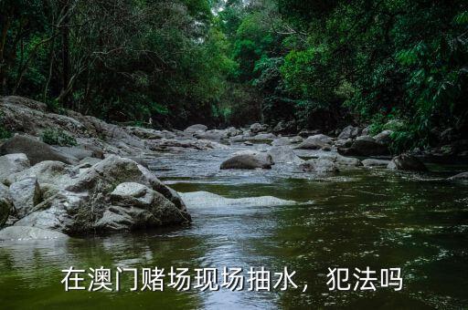 在澳門賭場現(xiàn)場抽水，犯法嗎