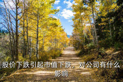 股票下跌對(duì)公司有什么影響,對(duì)公司有什么影響