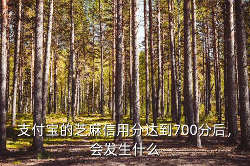 支付寶的芝麻信用分達(dá)到700分后，會(huì)發(fā)生什么