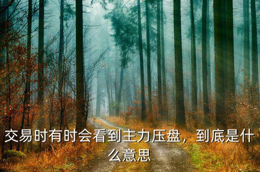 莊長時(shí)間壓盤是什么意思,交易時(shí)有時(shí)會(huì)看到主力壓盤