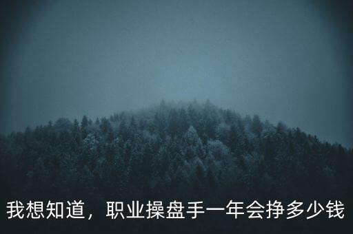 我想知道，職業(yè)操盤手一年會(huì)掙多少錢