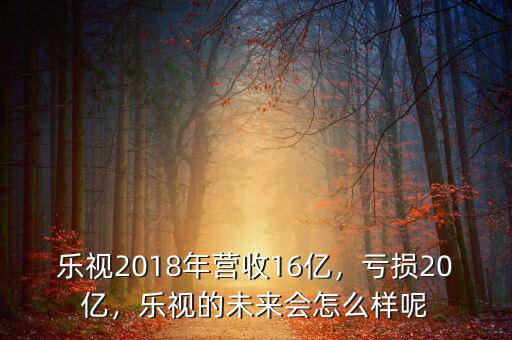 樂視2018年營收16億，虧損20億，樂視的未來會怎么樣呢