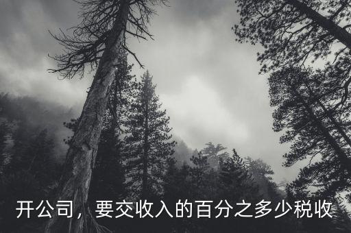 開(kāi)公司，要交收入的百分之多少稅收