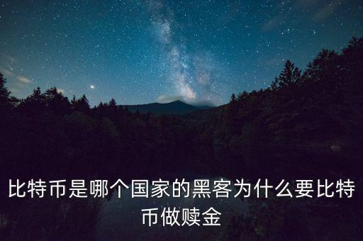 比特幣為什么可以產(chǎn)生價(jià)值,黑客為什么要比特幣做贖金