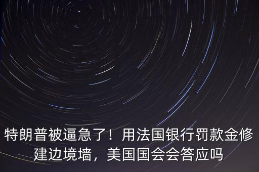 巴黎銀行為什么會遭罰款,用法國銀行罰款金修建邊境墻