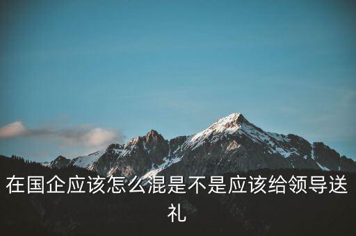 沒有關(guān)系在國企怎么混,在國企應(yīng)該怎么混