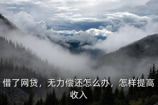 怎么提高網(wǎng)貸水平,怎樣提高收入