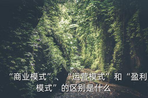 運營模式是指什么,什么是商業(yè)模式