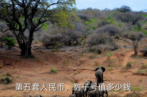 第五套人民幣值多少錢,豹子號(hào)值多少錢