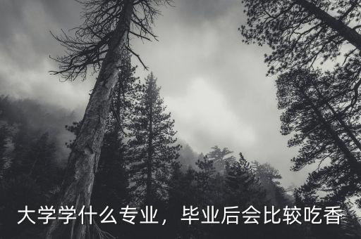 大學讀什么專業(yè)最賺錢,什么專業(yè)前景比較好