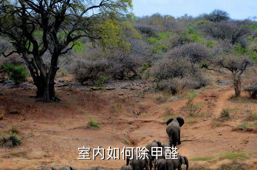 怎么去除室內甲醛含量,甲醛含量多少是安全的