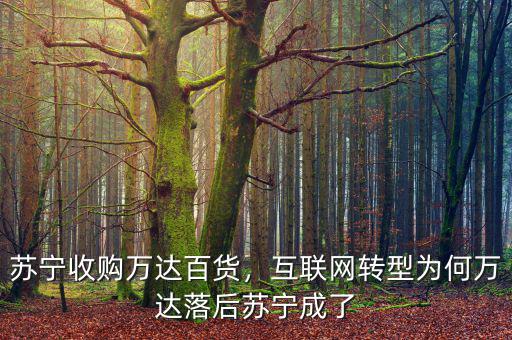 蘇寧收購(gòu)萬(wàn)達(dá)百貨，互聯(lián)網(wǎng)轉(zhuǎn)型為何萬(wàn)達(dá)落后蘇寧成了