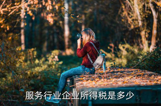 什么是接受服務(wù)企業(yè)所得稅，服務(wù)行業(yè)企業(yè)所得稅是多少