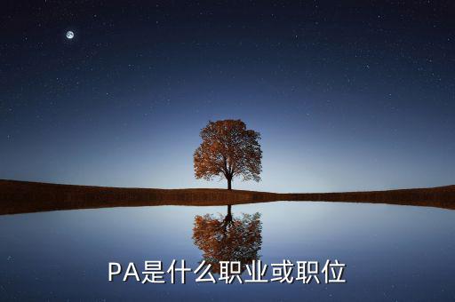 河南省國(guó)稅局陳紅偉什么職務(wù)，PA是什么職業(yè)或職位