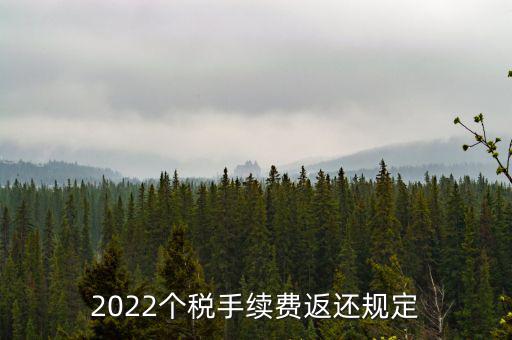 個稅返手續(xù)費什么時間，退個稅手續(xù)費2022年新規(guī)定