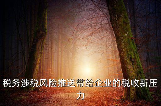 稅務(wù)涉稅風(fēng)險(xiǎn)推送帶給企業(yè)的稅收新壓力