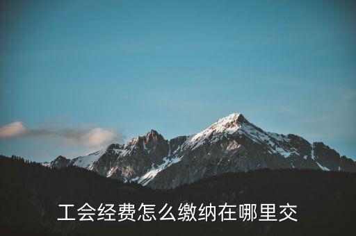 工會(huì)經(jīng)費(fèi)怎么繳納在哪里交