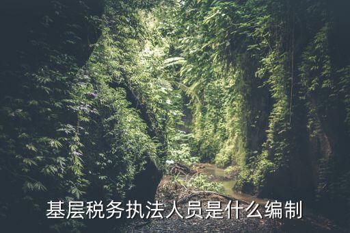 基層稅收執(zhí)法干什么的，基層稅務(wù)執(zhí)法人員是什么編制