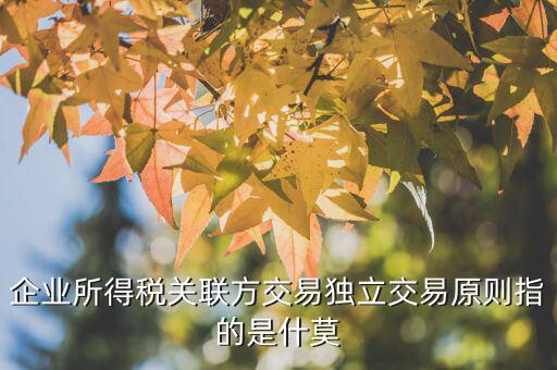 什么是合理商業(yè)目的，如何判斷企業(yè)實施的納稅籌劃不具有合理商業(yè)目的