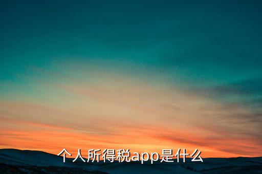 網(wǎng)上交稅要下載什么東西，個人所得稅官網(wǎng)登錄企業(yè)個人所得稅要下載什么端口申報