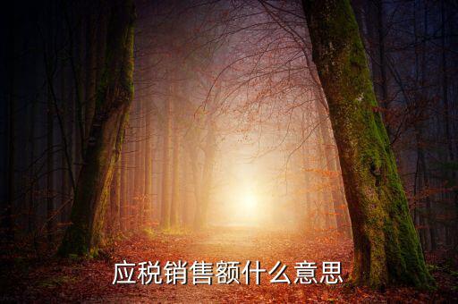 稅務(wù)銷售額是什么意思，年應(yīng)稅銷售額是什么意思