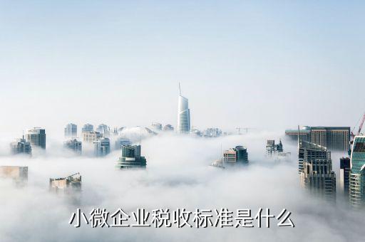 什么是企業(yè)稅收標(biāo)準(zhǔn)是什么，公司的稅收是按什么標(biāo)準(zhǔn)收稅的