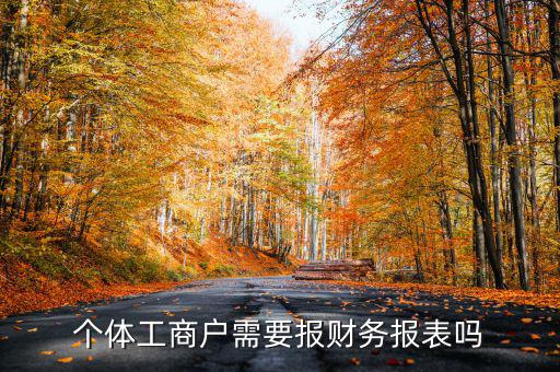 個體戶都需要申報什么表，個體工商戶需要報財務(wù)報表嗎