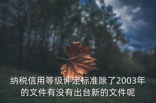 納稅信用等級(jí)評(píng)定標(biāo)準(zhǔn)除了2003年的文件有沒有出臺(tái)新的文件呢