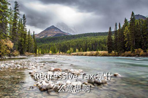 什么是稅收穿透，passthrough taxation是什么意思是直接繳稅嘛