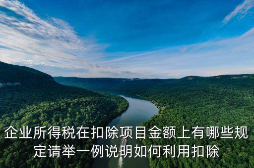 扣除項目金額是什么，應稅服務扣除項目清單中允許扣除項目金額指的是什么是總