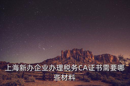 2014年7月份上海稅務(wù)局還需要審什么證，上海新辦企業(yè)辦理稅務(wù)CA證書需要哪些材料