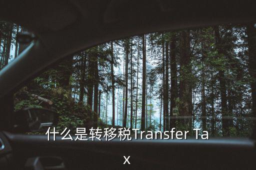 什么是跨地區(qū)稅收轉(zhuǎn)移企業(yè)，什么是轉(zhuǎn)移稅Transfer Tax