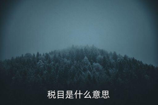 增值稅稅目是什么，增值稅是什么稅是什么