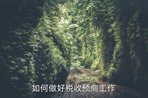 如何做好稅收預(yù)測(cè)工作