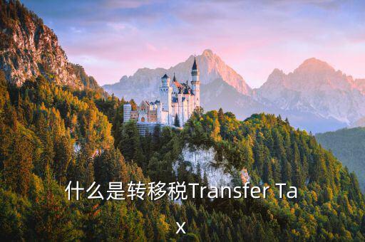 什么是轉(zhuǎn)移稅Transfer Tax