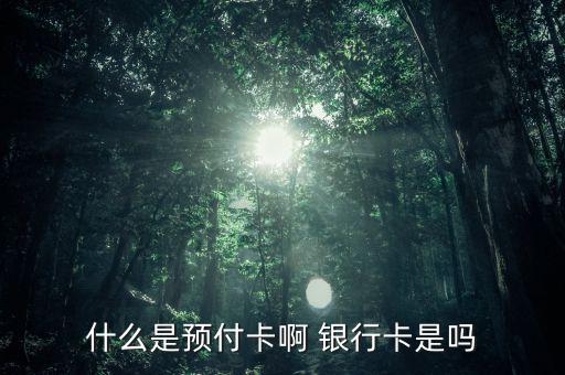 支付機構預付卡是什么意思，銀聯(lián)預付卡是什么意思