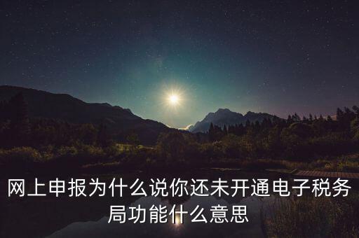 電子稅務(wù)局是干什么，企業(yè)金稅盤系統(tǒng)用來開票抄稅報(bào)稅用那登錄國稅地稅局網(wǎng)站是干嘛的