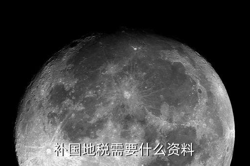 深圳國稅補報稅需要什么資料，補國地稅需要什么資料