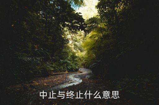 應(yīng)稅服務(wù)中止什么意思，中止和終止有什么區(qū)別