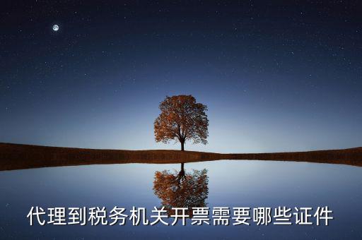 國稅代理開票需要什么，代開普通國稅發(fā)票要什么資料