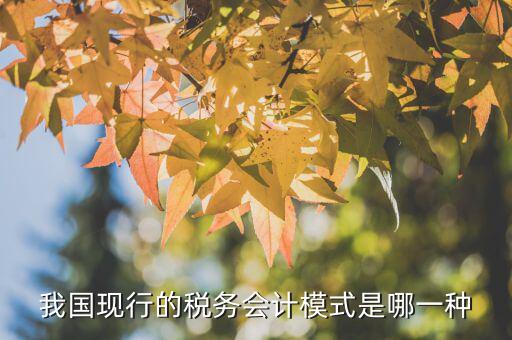 我國稅制模式是什么，我國的個(gè)稅方式是什么