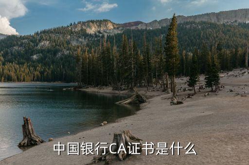 ca證書驅(qū)動是什么，頤信CA的驅(qū)動在哪里下載